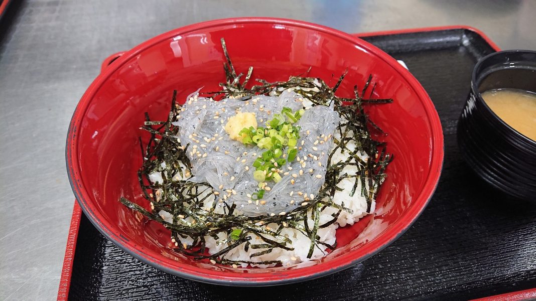 しらすの八幡しらす丼