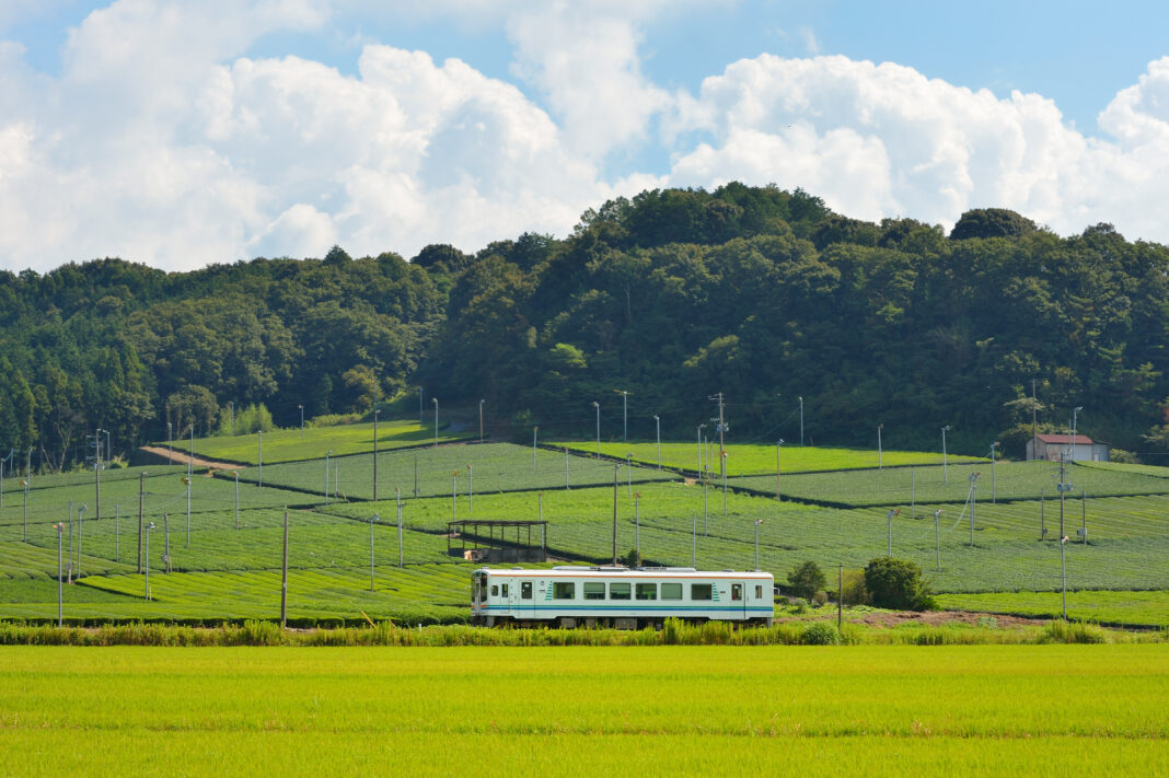 お茶畑の中を走る天竜浜名湖鉄道