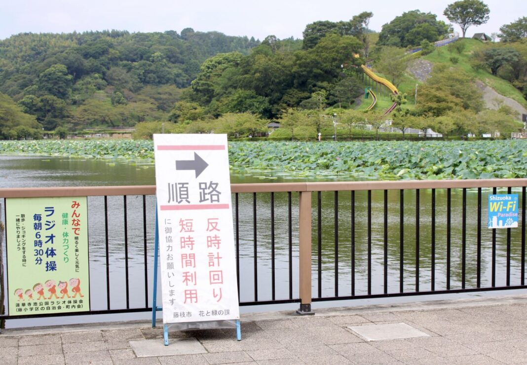 蓮華寺池公園