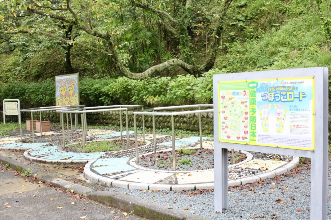 蓮華寺池公園