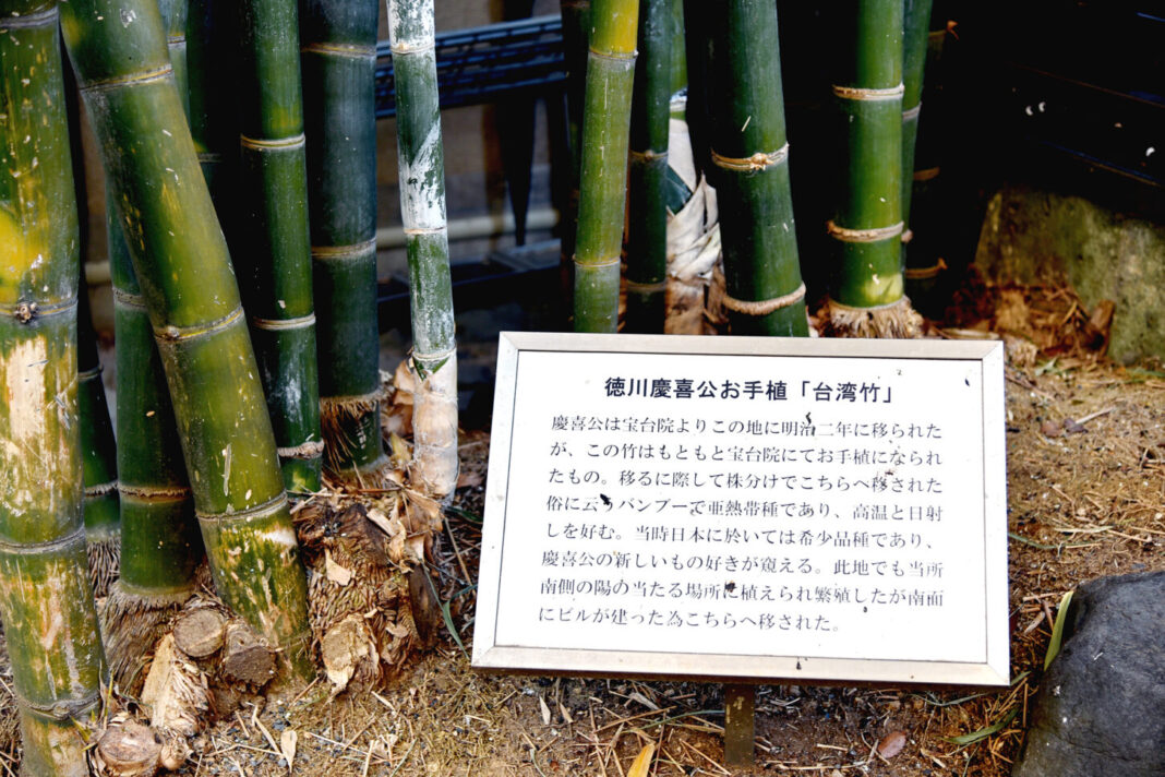 浮月楼