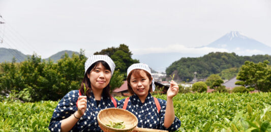 蔵屋鳴沢