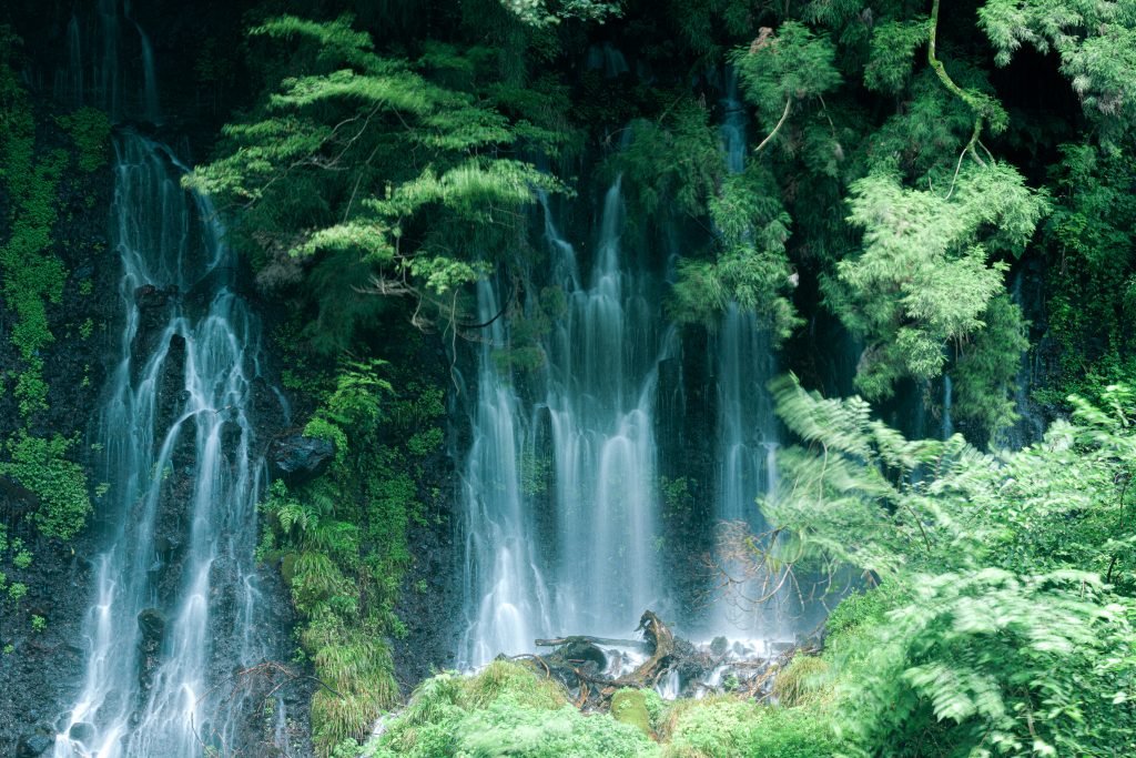 マイナスイオンでリフレッシュ 癒しの滝を巡り 富士山麓の花畑ビューを堪能 白糸の滝周辺ドライブ 散策コース 静岡県観光公式ブログ