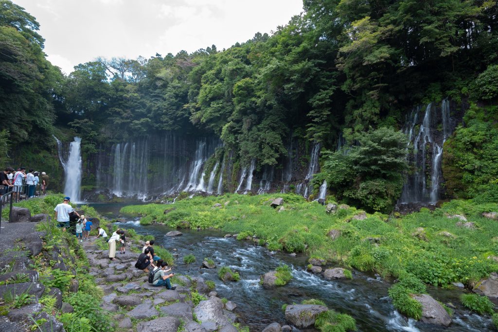 マイナスイオンでリフレッシュ 癒しの滝を巡り 富士山麓の花畑ビューを堪能 白糸の滝周辺ドライブ 散策コース 静岡県観光公式ブログ