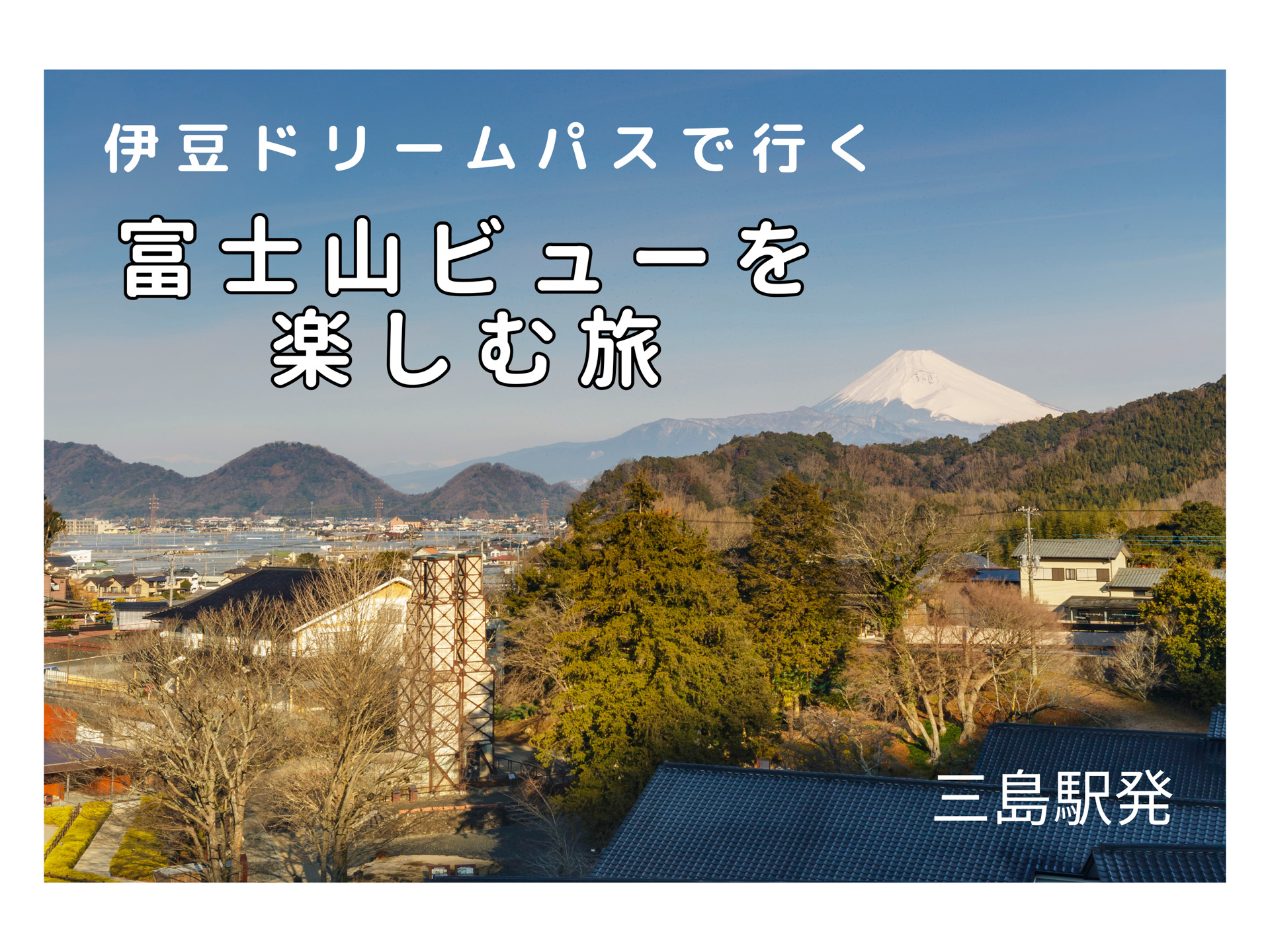 三島駅発 伊豆ドリームパスで行く 富士山ビューを楽しむ旅
