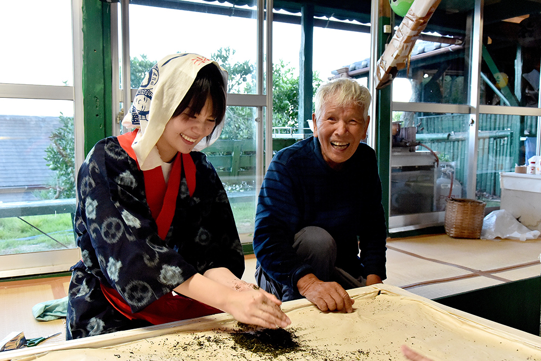 徐々に細長く針状になっていく茶葉の向きを揃えながら手のひらで転がし揉んでいく