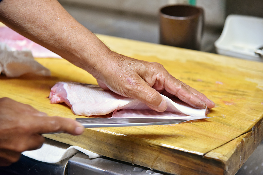 駿河湾は潮流が早く、荒れることが多い分、漁や釣魚に出る頻度が減り資源が保たれているそう